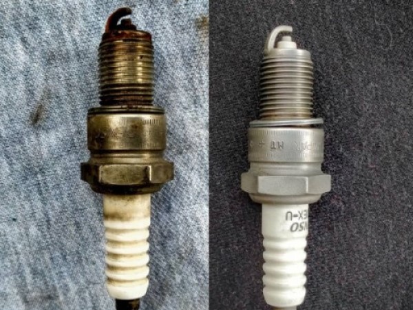 plugs